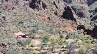 2023-04-GranCan-Guayadeque-021.jpg